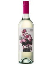 Between Lovers Pinot Grigio  Each