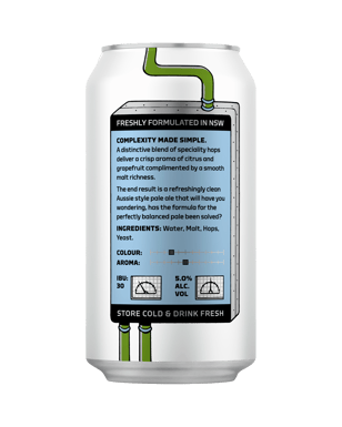 Algorithm Brewing Pale Ale Cans 375ml  Can