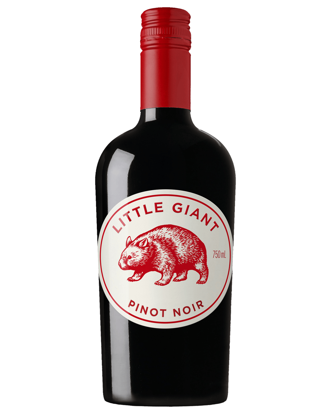 Little Giant Pinot Noir