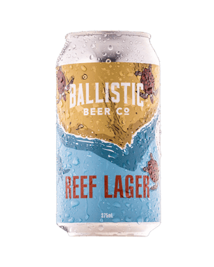 Reef Lager Cans 375ml  Can