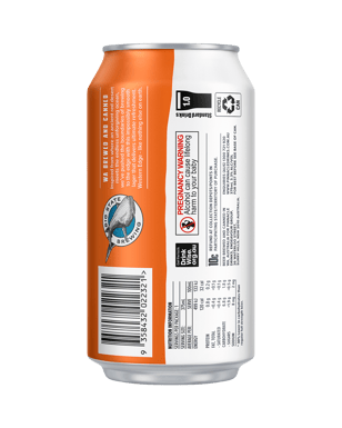 Big State (big State Brewing Co) Western Edge Mid Strength Lager Can 375ml  Can
