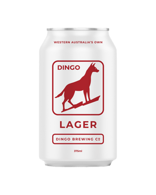 Dingo Brewing Co Lager Cans 375ml  Can