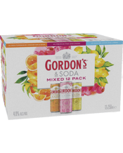 Gordon's Gin & Soda Mixed Pack Cans 250ml  Pack