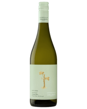 Isabel Estate Growers By Isabel Like Vines Sauvignon Blanc  Bottle