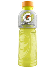Gatorade Sports Drinks Lemon Lime Electrolyte Hydration Bot  Case