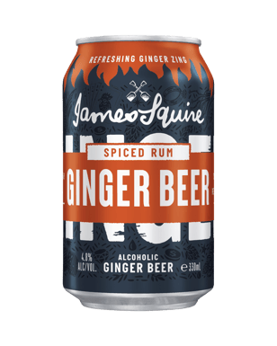 James Squire Spiced Rum Ginger Beer Cans 330ml  Can
