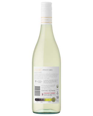 Taylors Estate Pinot Gris  Bottle