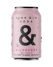 Ampersand Pink Gin Soda Cans 330ml  Can