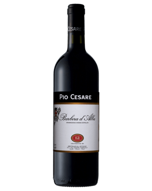 Pio Cesare Barbera D'alba  Bottle