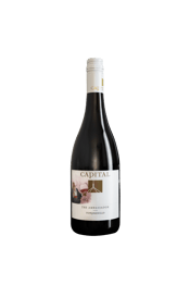 Capital Wines The Ambassador Tempranillo  Each