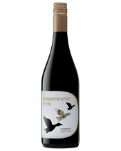 Domesticated Duck Tas Pinot Noir  Bottle