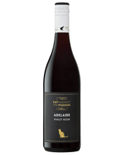 Cat Amongst The Pigeons Pinot Noir  Bottle