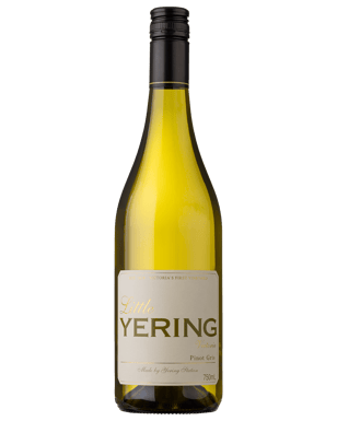 Little Yering Pinot Gris  Bottle