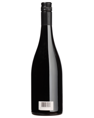 Dalwhinnie Moonambel Shiraz 2008  Bottle