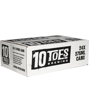 Ten Toes Brewery Pale Ale Can 375ml  Can