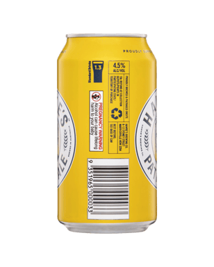 Hawke's Brewing Co. Patio Pale Ale Cans 375ml  Can