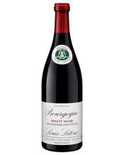 Louis Latour Bourgogne Pinot Noir  Bottle
