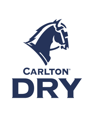Carlton Dry Bottles 355ml  Bottle