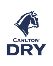 Carlton Dry Bottles 355ml  Bottle