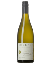 Scorpo Pinot Gris  Bottle