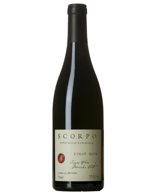Scorpo Pinot Noir  Bottle